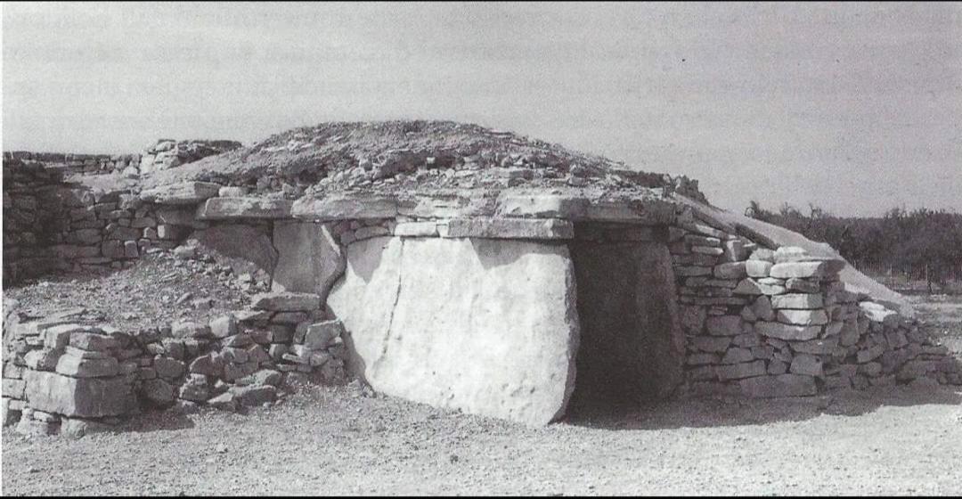 Appartamento Casa Cicetta Giovinazzo Esterno foto